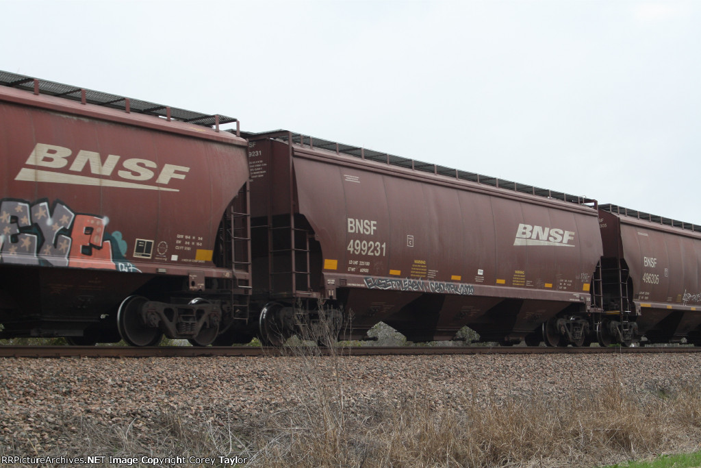 BNSF 499231